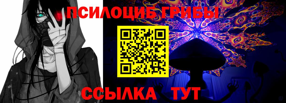 Псилоцибиновые грибы GOLDEN TEACHER  Вход с VPN  Туапсе 