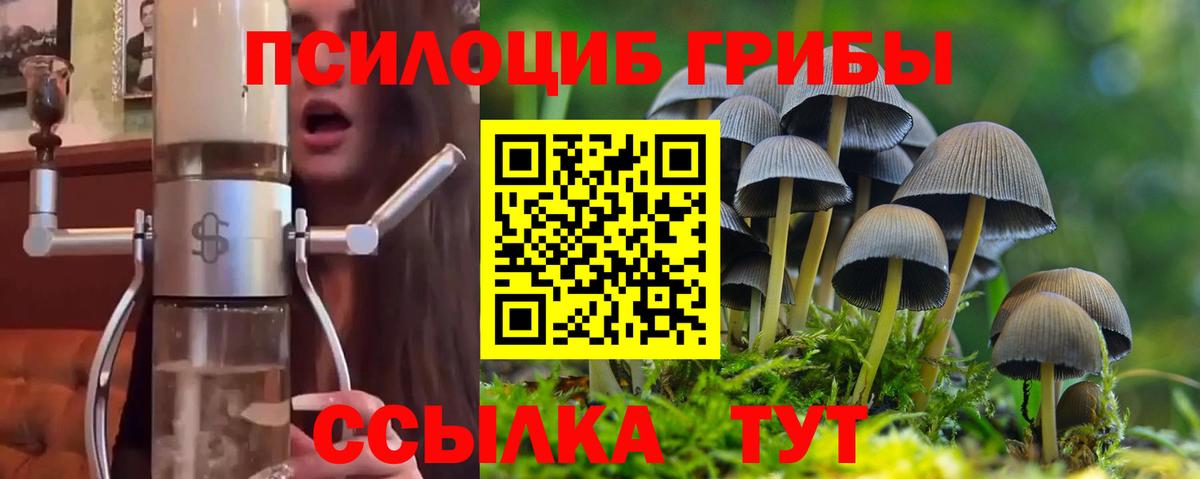 Галлюциногенные грибы Psilocybine cubensis Туапсе
